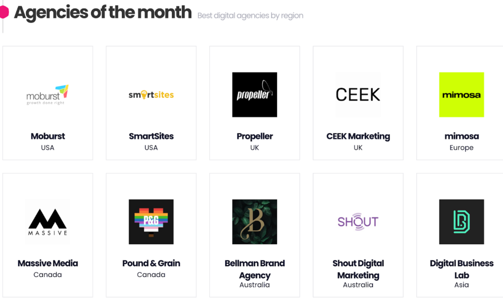 member-spotlight:-revealing-what-clients-love-about-digital-agency-network