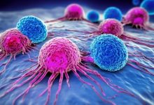 evaluating-immunotherapy-success-rates:-insights-from-the-latest-research