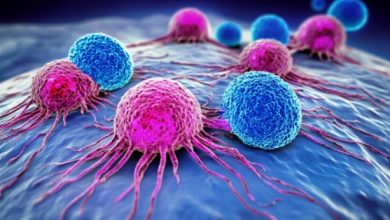 evaluating-immunotherapy-success-rates:-insights-from-the-latest-research